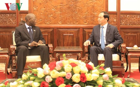 Президент Вьетнама Чан Дай Куанг принял директора представительства Всемирного банка - ảnh 1